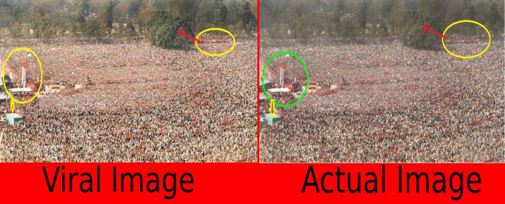 Comparison between both Viral and actual images.