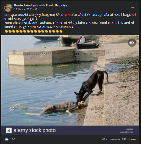 Dog Eating Dead Body from Ganga in UP