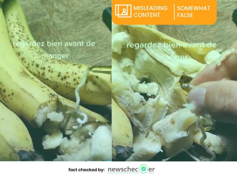 False video showing worms in bananas goes viral