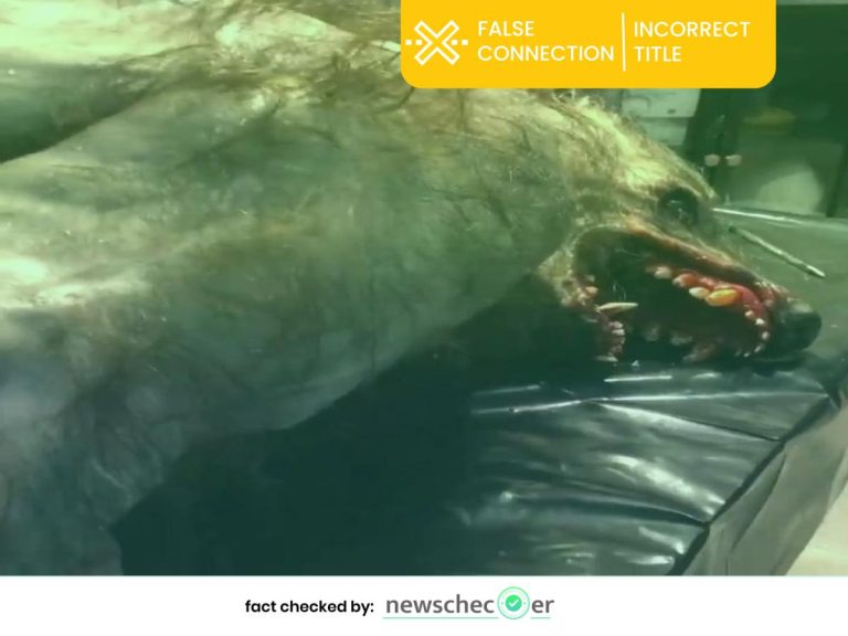 Werewolf created by sfx sculptor artist goes viral with false claims