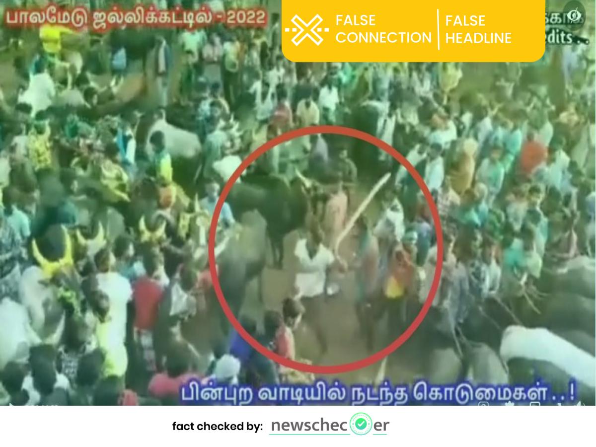 பாலமேடு ஜல்லிக்கட்டில் தலித் சமூகத்தினர் மாடுகள் தாக்கப்பட்டதா?