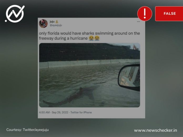 Viral photo of shark swimming in flooded Florida street is an old, photoshopped picture that has been doing the rounds of social media since 2011. The original picture was taken in 2003.