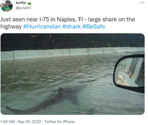 Viral photo of shark swimming in flooded Florida street is an old, photoshopped picture that has been doing the rounds of social media since 2011. The original picture was taken in 2003.