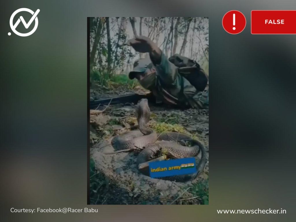 Viral Video Of ‘Indian Soldier’ Catching Snake Is Actually Of ...