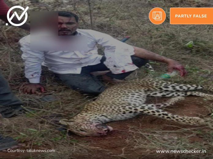 Namibia Cheetah killed by man after attacking family