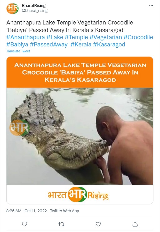 Kerala Temple's famed crocodile 