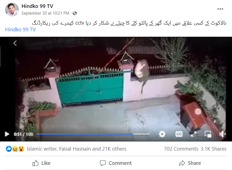 چیتے کے پالتو کتے پر حملے کی یہ ویڈیو بالاکوٹ کی نہیں ہے
