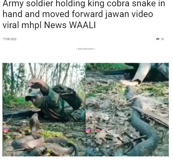 Viral short video of soldier catching a snake is not of Indian Army, but of a training related to Indonesian military.