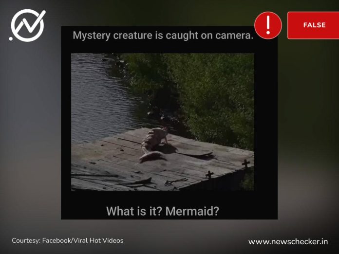 clusion: Viral video of mermaid sighting is actually a CGI one created by a Youtuber film-making duo from Nicaragua.