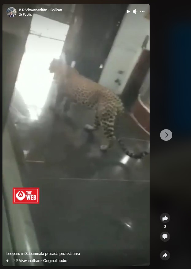 Viral Video Does Not Show Leopard In Kitchen Where Sabarimala Temple's  Aravana Payasam Is Made
