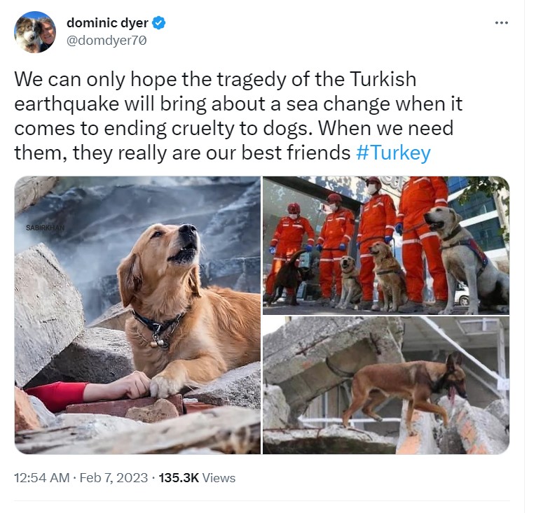 ढिगाऱ्याखाली दबलेल्या व्यक्ती शेजारी बसलेल्या कुत्र्याचा फोटो अलीकडील तुर्की भूकंपातला आहे.