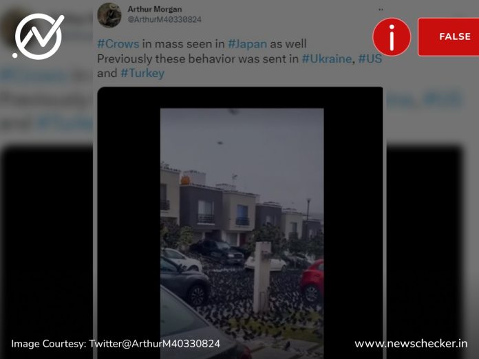 Video of a massive flock of birds invading a neighbourhood in Mexico falsely claimed to be from Japan.