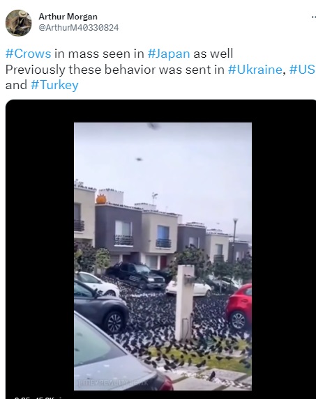 Video of birds invading a neighbourhood in Mexico falsely claimed to be from Japan.
