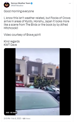 Video of birds invading a neighbourhood in Mexico falsely claimed to be from Japan