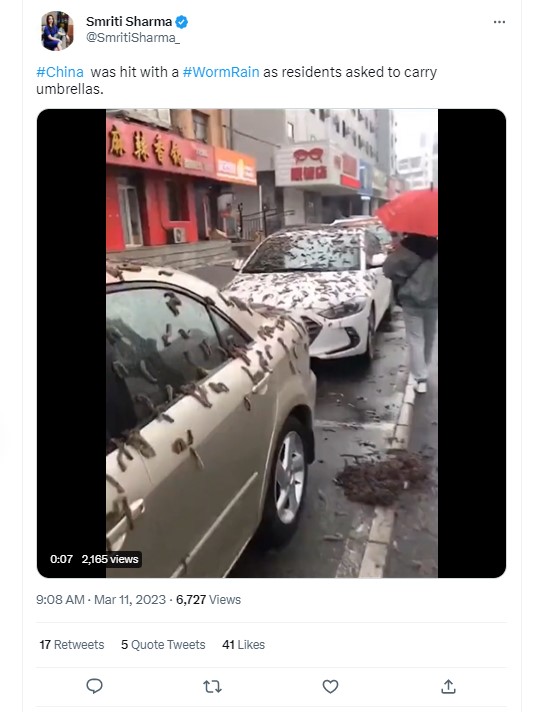 Fact Check: चीनमध्ये पडला 'अळ्यांचा पाऊस'? व्हायरल व्हिडिओमागील सत्य येथे जाणून घ्या
