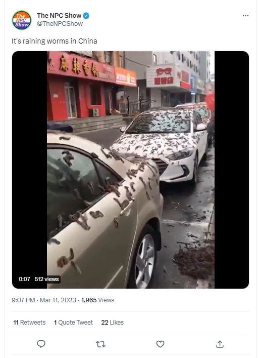 Is It Raining Worms In China?
