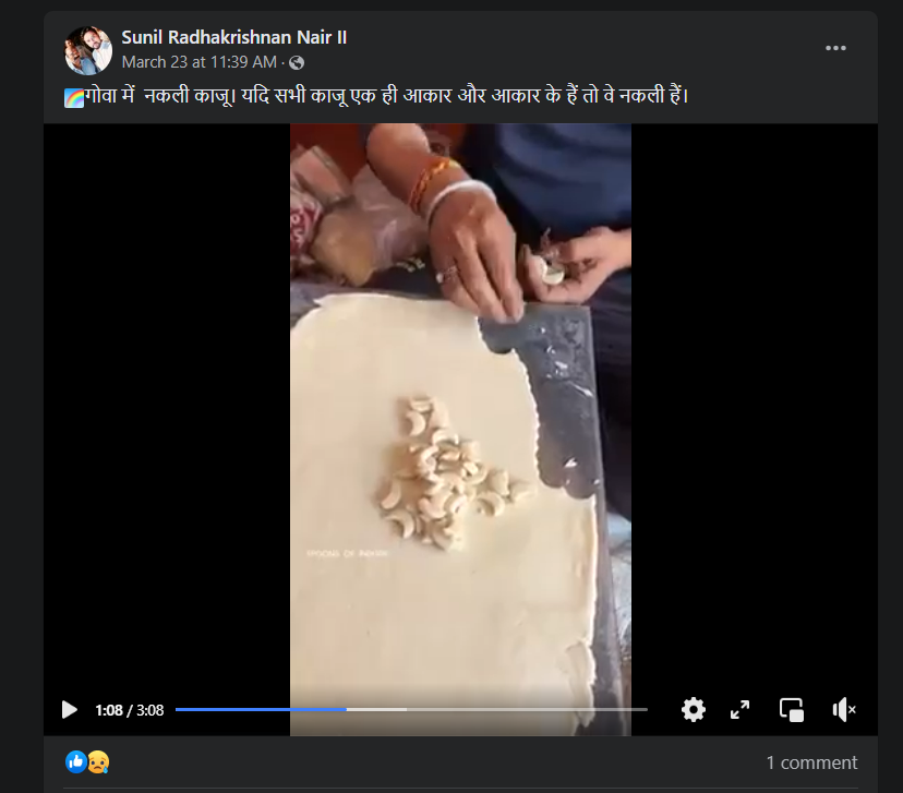 Fact Check: गोव्यात बनावट काजू बनविले जातात असा व्हिडीओ पाहण्यात आलाय? जाणून घ्या वस्तुस्थिती 