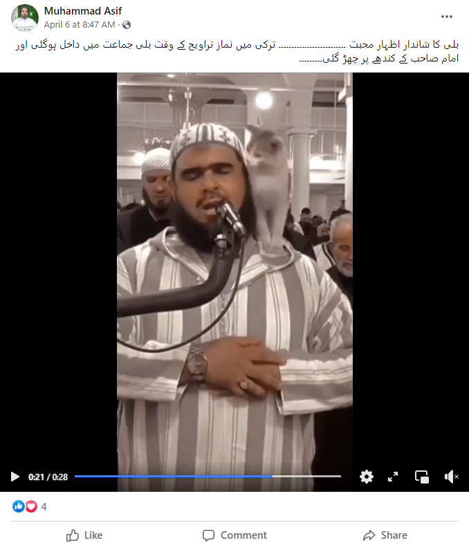 نماز تراویح کے دوران امام کے ساتھ شرارت کر رہی بلی کی یہ ویڈیو الجزائر کی ہے۔