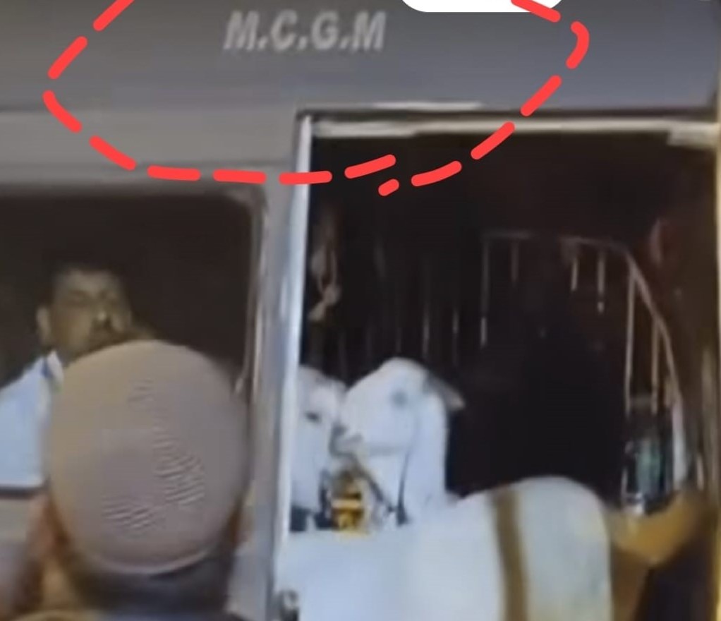 MCGM written in the viral video shared by Hashtag Mumbai