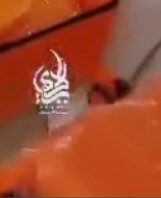 emblem seen in the viral video