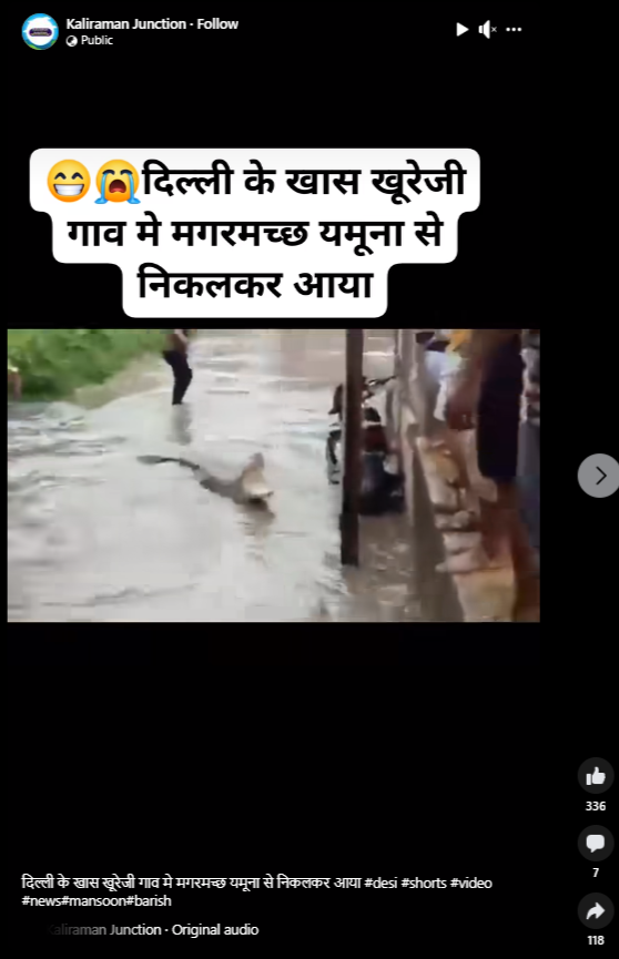 सोशल मीडिया पर एक वीडियो शेयर कर दावा किया जा रहा है कि बाढ़ के कारण यमुना नदी से निकलकर मगरमच्छ दिल्ली के एक गांव में आ गया.