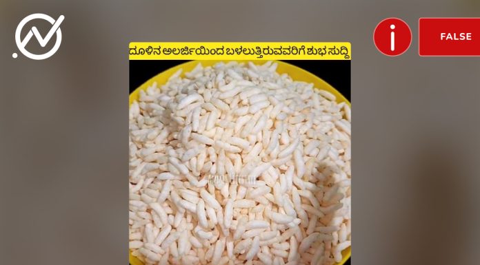 ಮಂಡಕ್ಕಿ, ಧೂಳು, ಅಲರ್ಜಿ