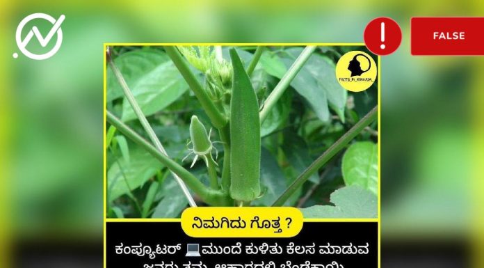 ಬೆಂಡೆಕಾಯಿ, ಕಣ್ಣಿನ ಶಕ್ತಿ