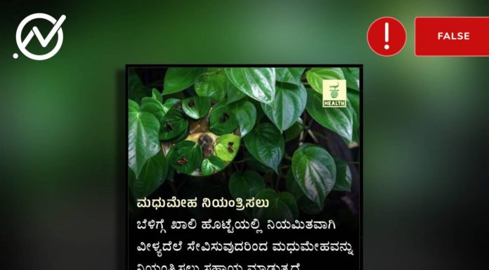 ಮಧುಮೇಹ, ವೀಳ್ಯದೆಲೆ