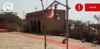 Video of Monkeys Ringing A Bell Is Not From Ayodhya Ram Temple