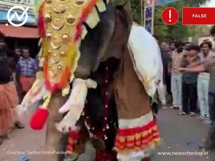 Media Outlets Misreport Video Of Men Dancing In Elephant Costume, As Real