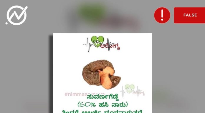 ಸುವರ್ಣಗಡ್ಡೆ, ಅಲರ್ಜಿ