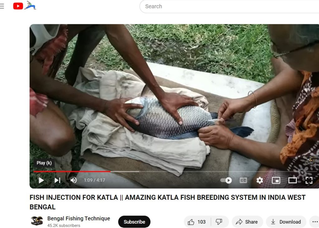 YouTube Video by Bengal Fishing Technique