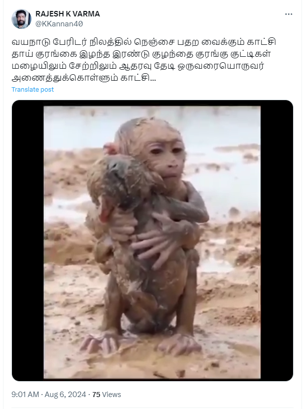 வயநாடு பேரிடரில் தாயை இழந்த குரங்குக்குட்டிகள்