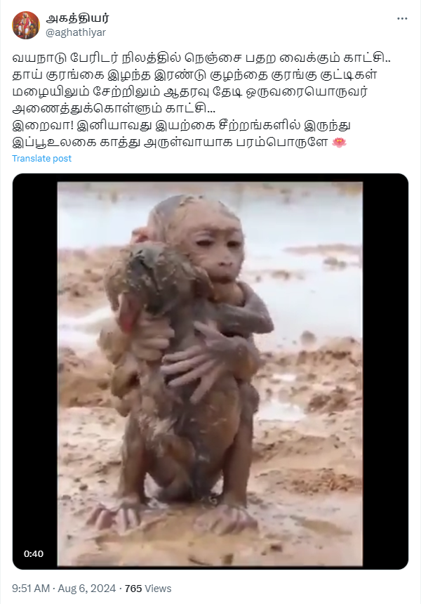 வயநாடு பேரிடரில் தாயை இழந்த குரங்குக்குட்டிகள்