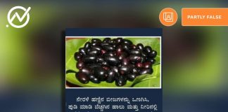 ನೇರಳೆ ಹಣ್ಣಿನ ಬೀಜ, ಸಕ್ಕರೆ ಕಾಯಿಲೆ, ಕ್ಯಾನ್ಸರ್,