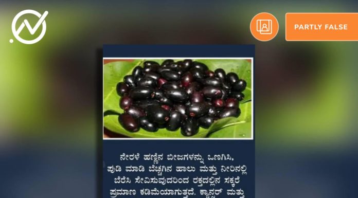 ನೇರಳೆ ಹಣ್ಣಿನ ಬೀಜ, ಸಕ್ಕರೆ ಕಾಯಿಲೆ, ಕ್ಯಾನ್ಸರ್,