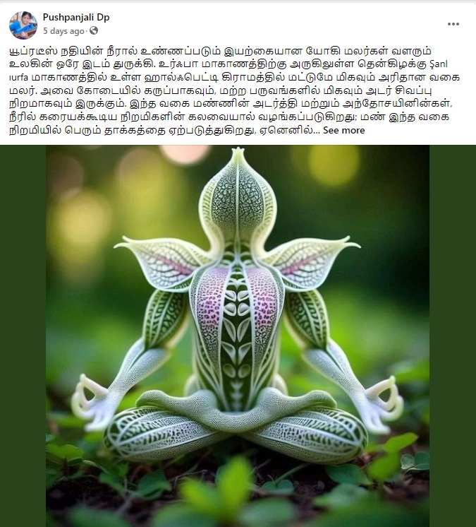 துருக்கியில்