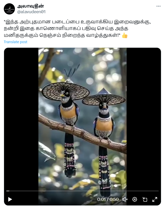 இறைவன் உருவாக்கிய அற்புத படைப்பு என்று குறிப்பிட்டு வைரலாகும் அழகிய பறவைகள்.