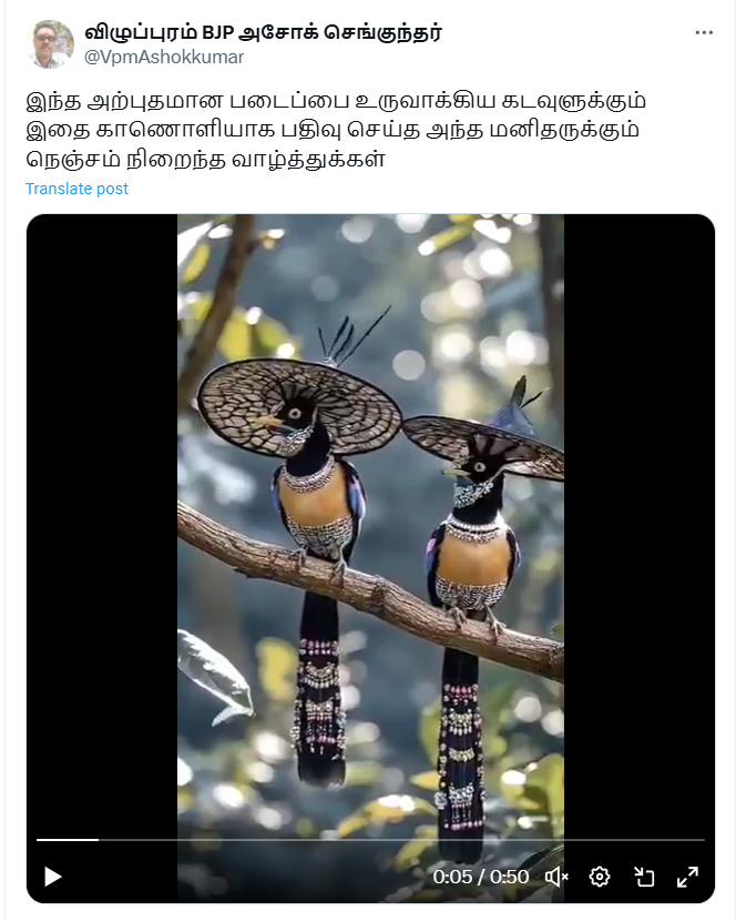 இறைவன் உருவாக்கிய அற்புத படைப்பு என்று குறிப்பிட்டு வைரலாகும் அழகிய பறவைகள்.