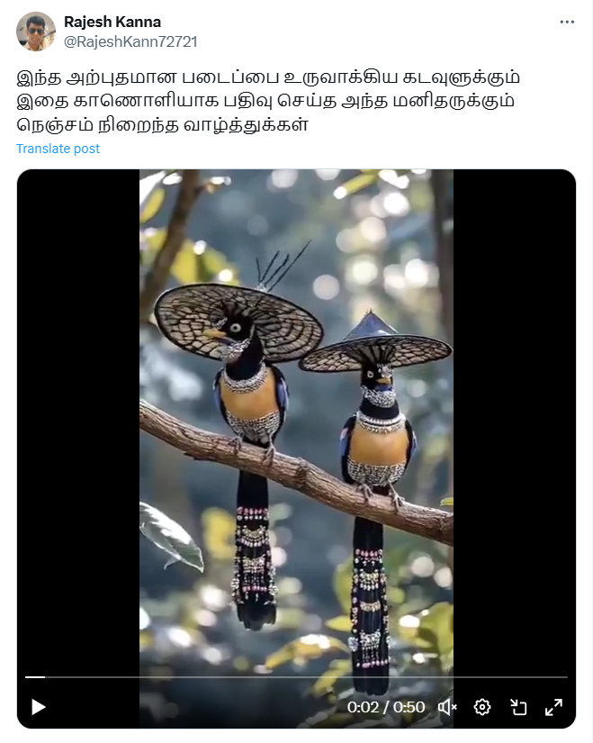 இறைவன் உருவாக்கிய அற்புத படைப்பு என்று குறிப்பிட்டு வைரலாகும் அழகிய பறவைகள்.