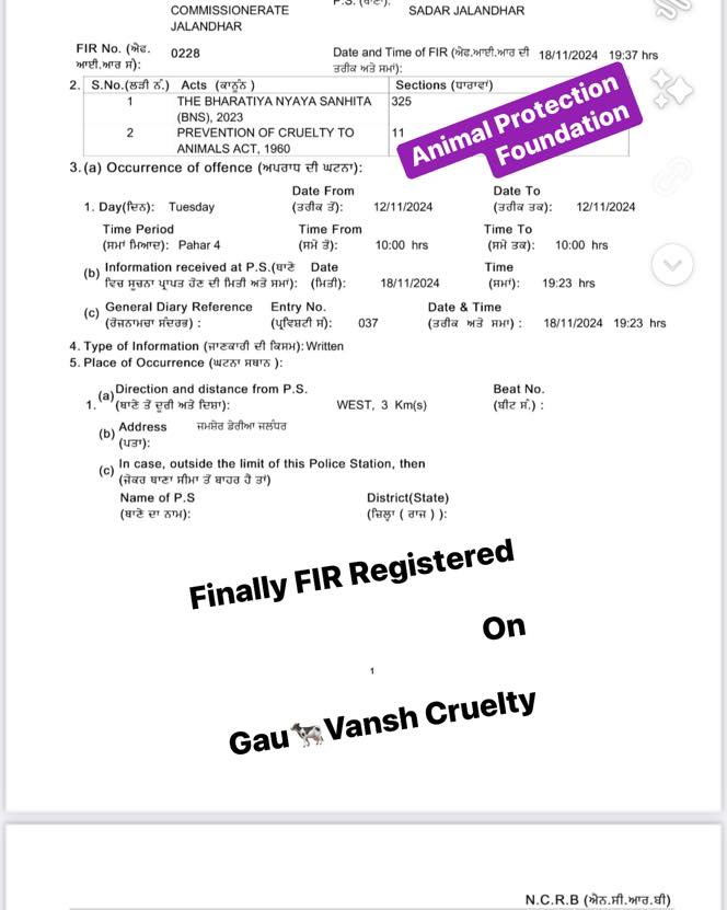 Fact Check: ಬಾಂಗ್ಲಾದೇಶದ ಇಸ್ಕಾನ್ ಹಸು ಕೊಟ್ಟಿಗೆಯ ಮೇಲೆ ದಾಳಿ ಎಂದು ಆರೋಪಿಸಲಾದ ವೀಡಿಯೋ ನಿಜಕ್ಕೂ ಭಾರತದ್ದು!