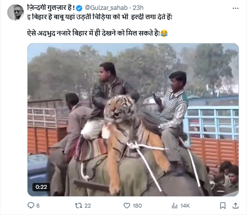 हाथी के ऊपर बाघ को बांधकर