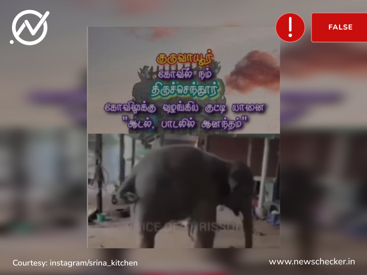 திருச்செந்தூர் முருகன் கோவிலுக்கு குருவாயூரிலிருந்து யானை நன்கொடையாக வழங்கப்பட்டதா?