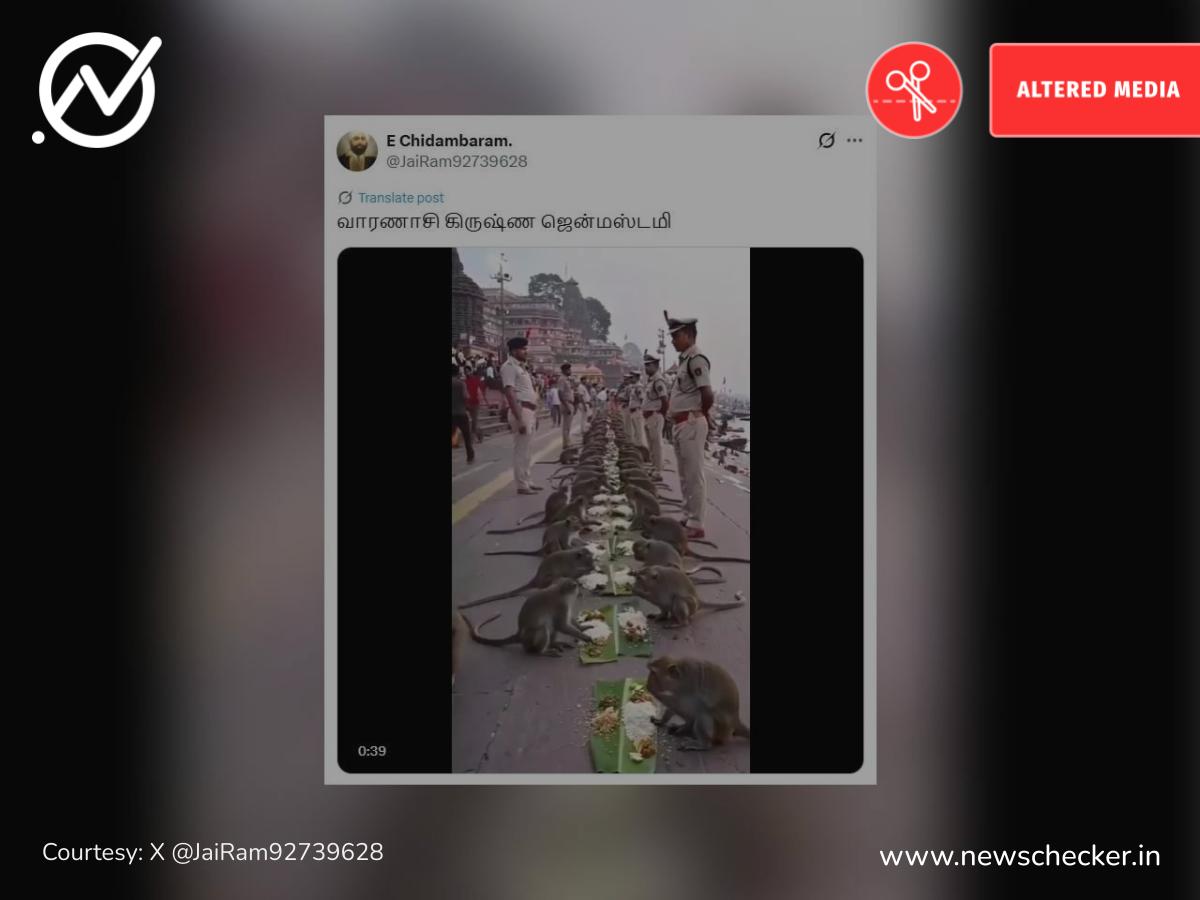 கிருஷ்ண ஜெயந்தியை முன்னிட்டு வாரணாசியில் உணவருந்திய குரங்குகள் என்று பரவும் வீடியோ உண்மையா?