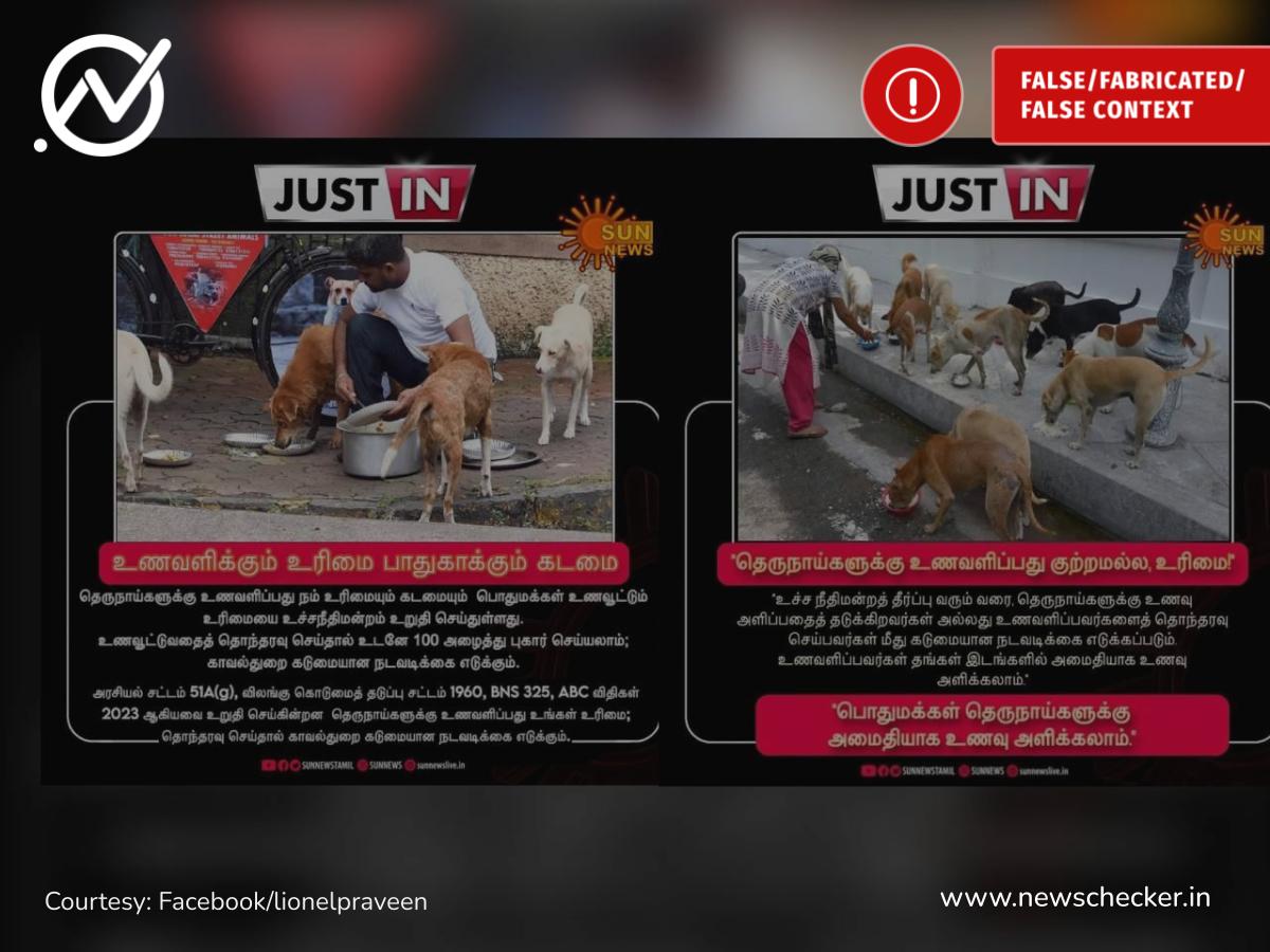 தெருநாய்களுக்கு உணவளிக்கும் உரிமையை தடுப்பது குற்றம் என்று உச்சநீதிமன்றம் தெரிவித்துள்ளதா?