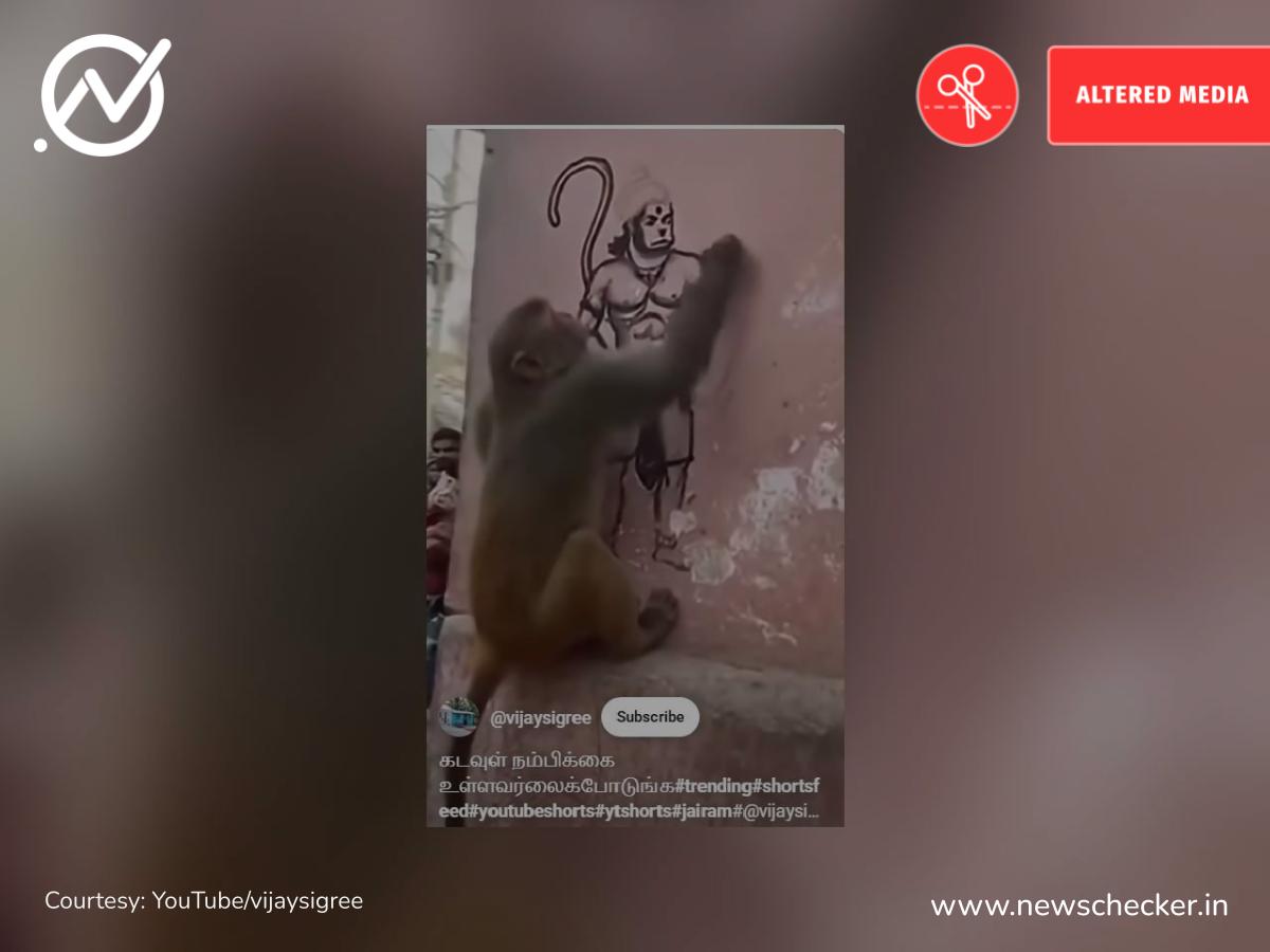 குரங்கு ஒன்று ஹனுமான் உருவத்தை வரைவதாகப் பரவும் வீடியோ உண்மையா?