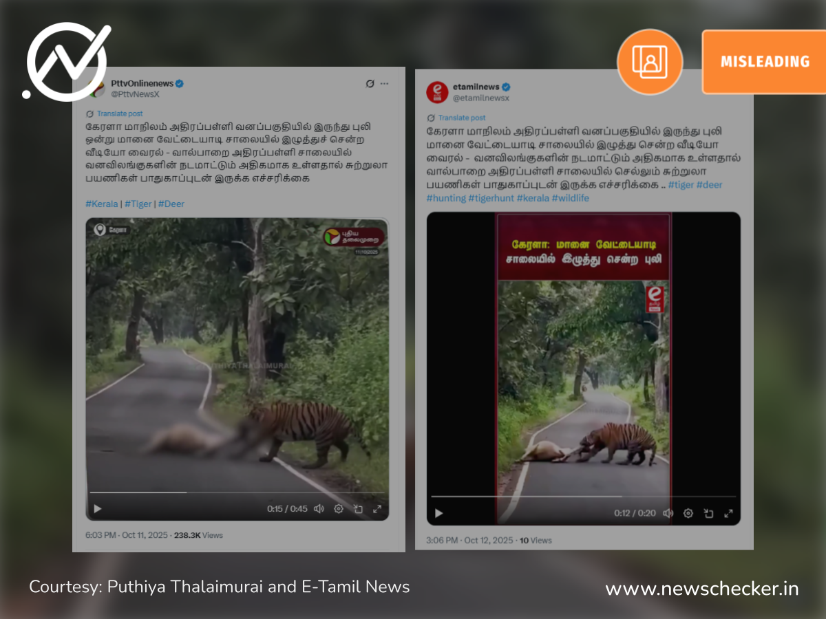 அதிரப்பள்ளி வனப்பகுதியில் புலி மானை வேட்டையாடி இழுத்து சென்றதாக பரவும் வீடியோ தகவல் உண்மையானதா?