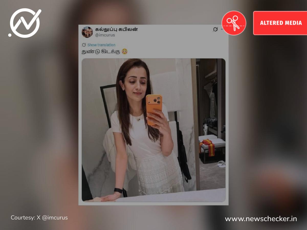 திரிஷாவின் செல்ஃபியின் பின்புறம் தவெக துண்டு கிடப்பதாகப் பரவும் புகைப்படம் உண்மையா?